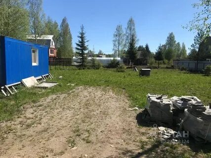 Рахьинское городское поселение всеволожского