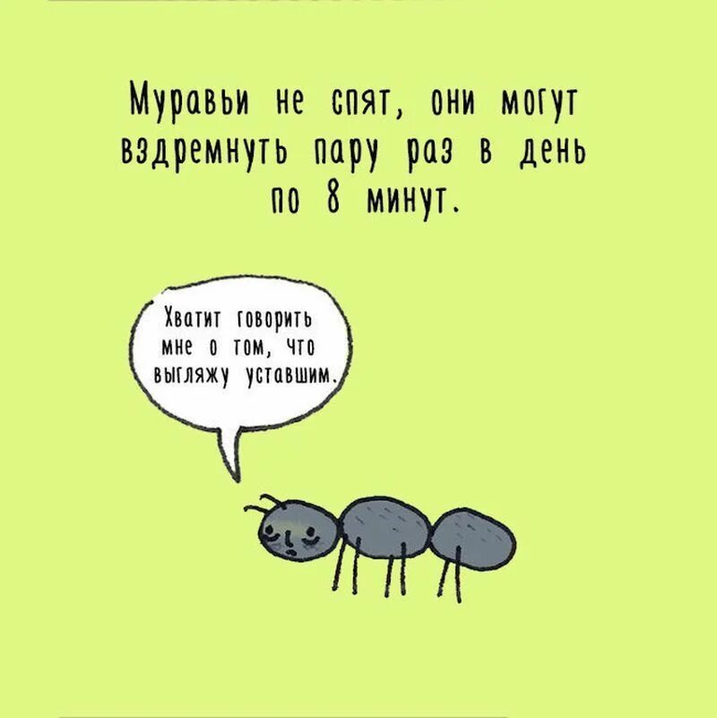 1 факт о животных. Интересные факты о животных. удивительные факты о животных. смешные факты о животных. забавные факты о животных.
