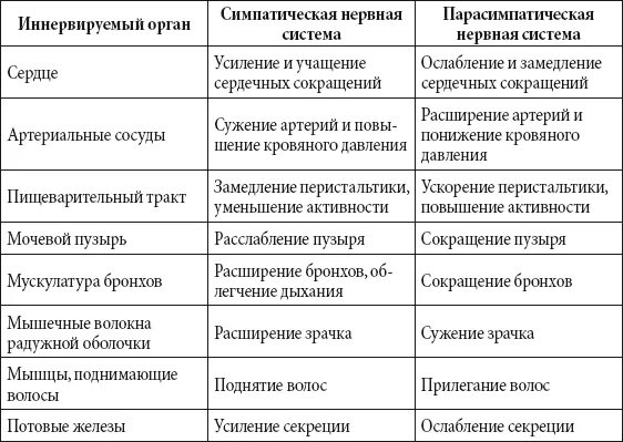 Симпатический отдел вегетативной нервной системы функции. Функции вегетативной нервной системы таблица. Отделы вегетативной нервной системы таблица. Симпатическая и парасимпатическая нервная система отличия таблица. Симпатич