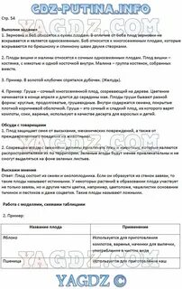 Биология 6 класс сивоглазов параграф 17