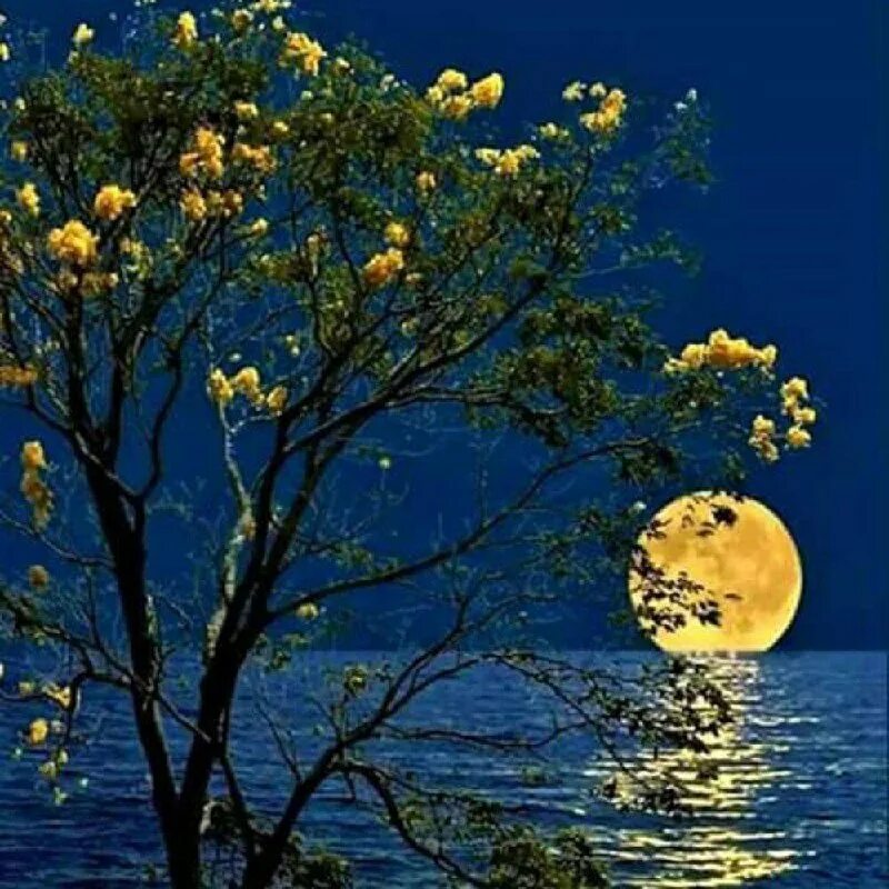 есенин ночь тихо дремлет река. лунная ночь. лунный свет и майский. ночное озеро. лунный свет и майский.