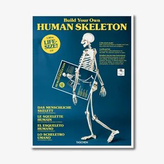 Скелет книги