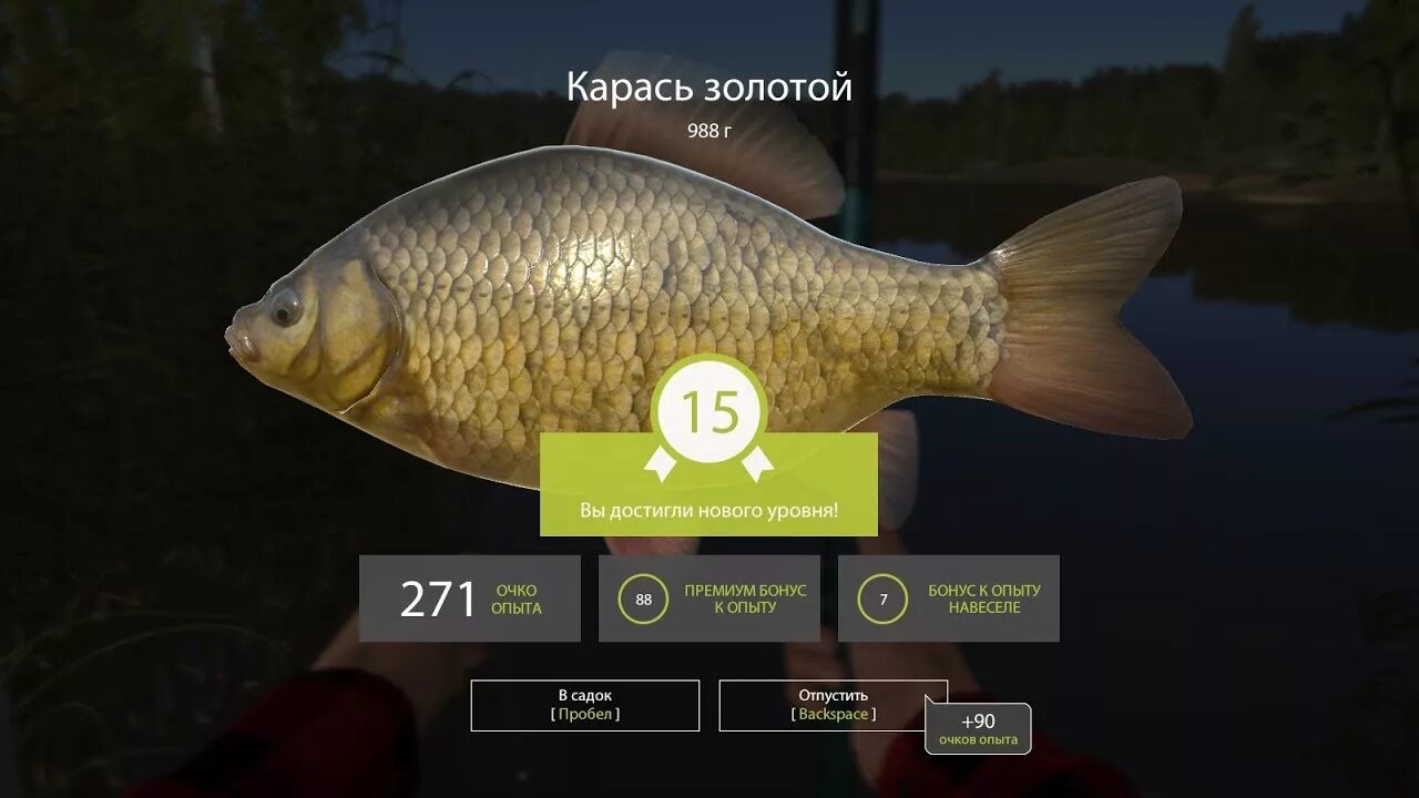 Русская рыбалка 4. Голавль рр4. Рр4. Russian Fishing 4 читы.