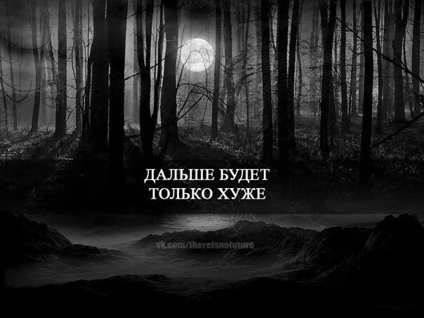 Из за лесу лесу темного какая песня. Темные мысли. цитаты про лес. тёмные мысли глава 4. в тёмном тёмном лесу книга.