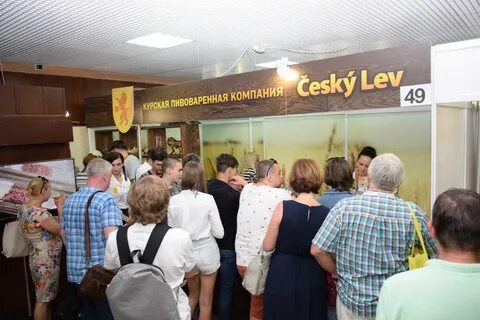 Курский контакты