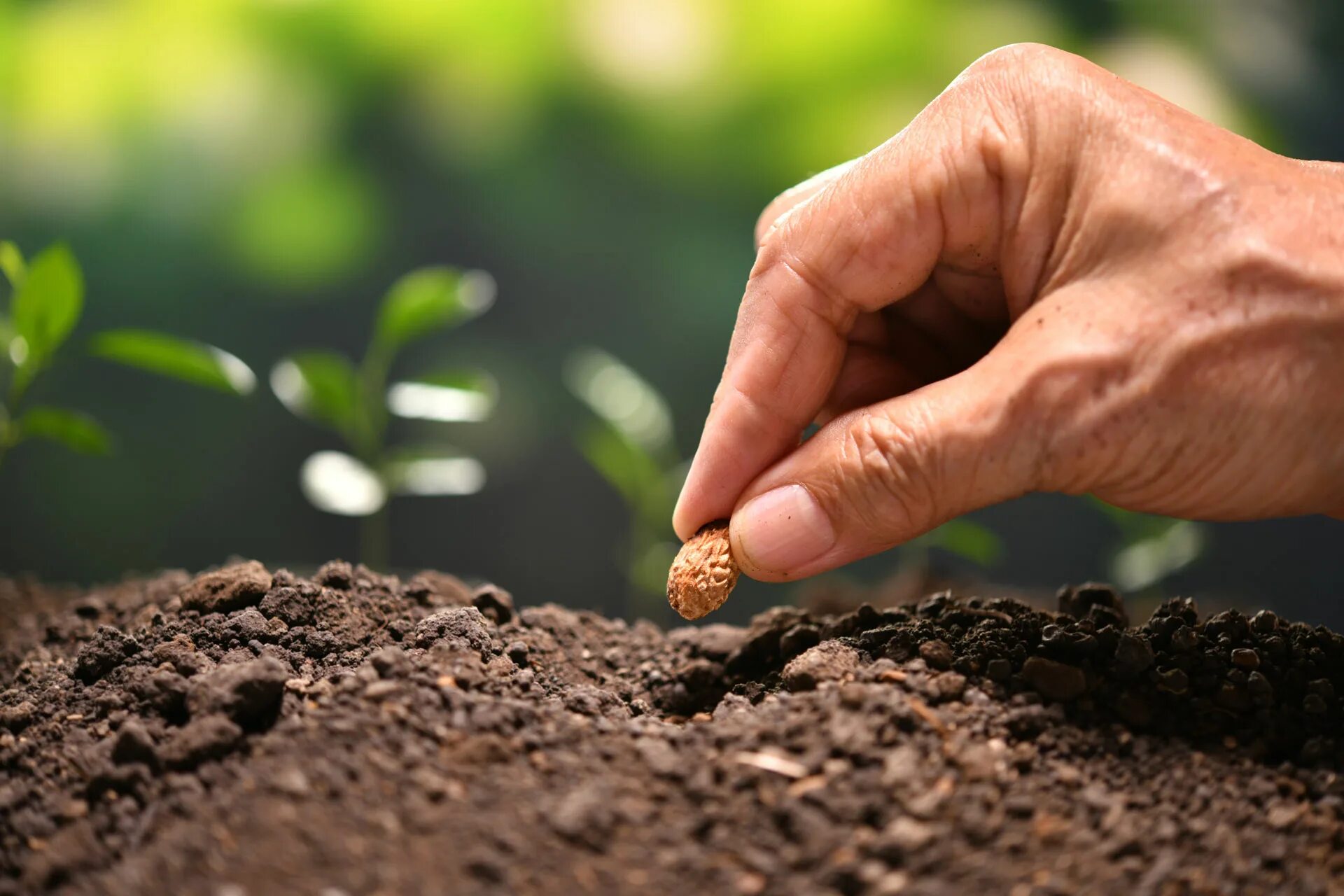 Seeding for a new generation