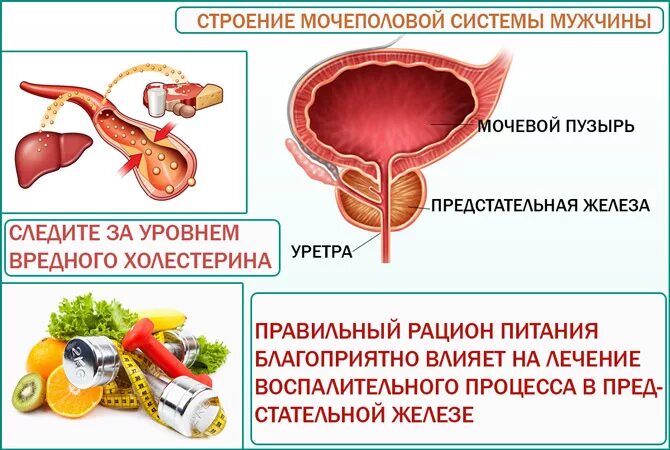 Что едят при простатите. Продукты для предстательной железы. Простатит полезные продукты. Продукты полезные для простаты. Продукты при простатите у мужчин.