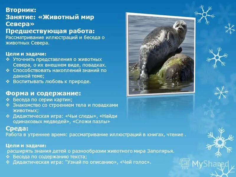 Животных севера цель. Консультации на тему животные севера. животные севера цель и задачи. рекомендации для родителей по теме животные арктики. беседа про животных севера.