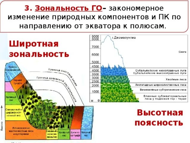 Главная причина широтной зональности изменение. Высотная поясность географической оболочки. Широтная зональность география 8 класс. Широтная зональность географической оболочки. Высотная поясность это в географии в России.