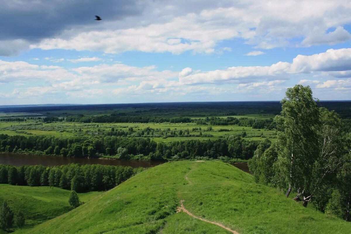 Минские горы. Лысая (гора, Белоруссия). Гора лысая Беларусь. Гора лысая Архангельская область. Вид лысая гора Беларусь.