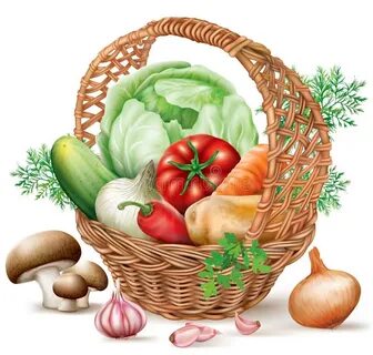 Vegetable basket