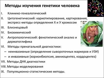 Методы исследование человека