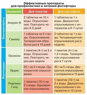 От фитофторы на картофеле чем опрыскивать