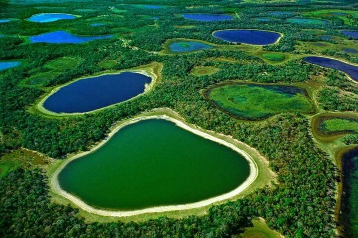 Крупные озера бразилии 7. Национальный парк Пантанал Бразилия. Болота Пантанал Бразилия. Бразилия болотистая впадина Пантанал. Пантанал заповедники Южной Америки.