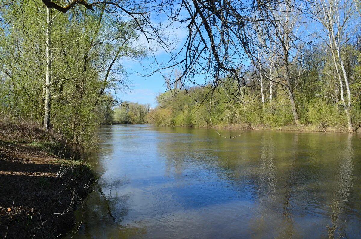 Уровень воды в реке дема