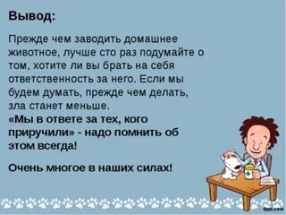 Прежде чем завести