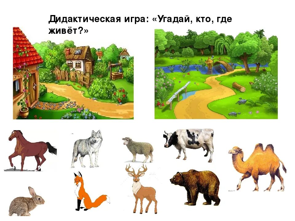Animal que empiece con e - Alphabet letters u x v w z y set with animal vector i