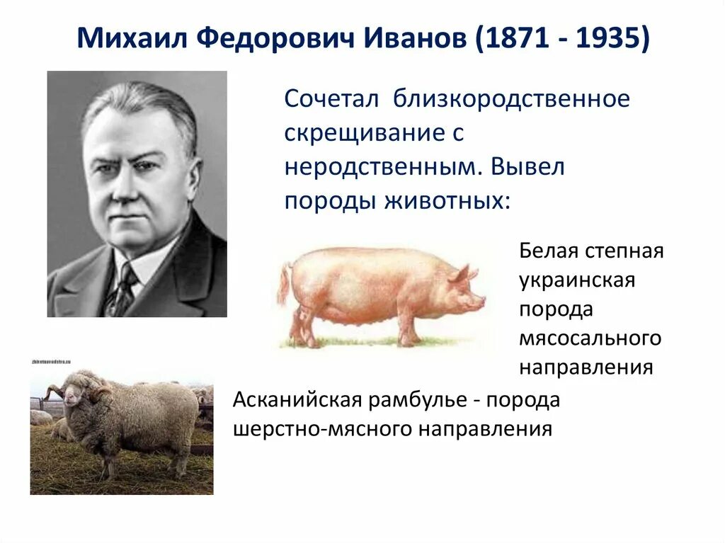 Достижение мировой селекции сообщение