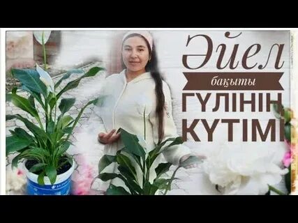 Риалдағы жыныстық қатынас