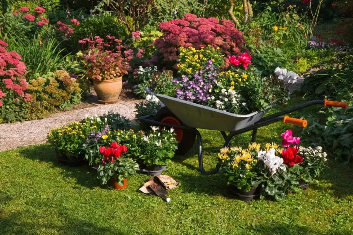 There are many flowers in the garden. There are many flowers in the garden