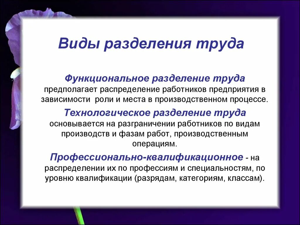 Работника и организации основывающееся на. Виды разделения труда. Эвтды разделения труда. Функциональная форма разделения труда. Виды разделения труда функциональное.