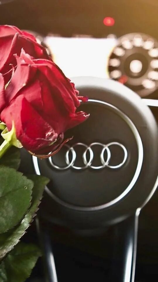 Rose rose машина. Rr phantom 2000. Rose rose машина. Bentley continental gt розовый. Кадиллак эскалейд розовый розовый.