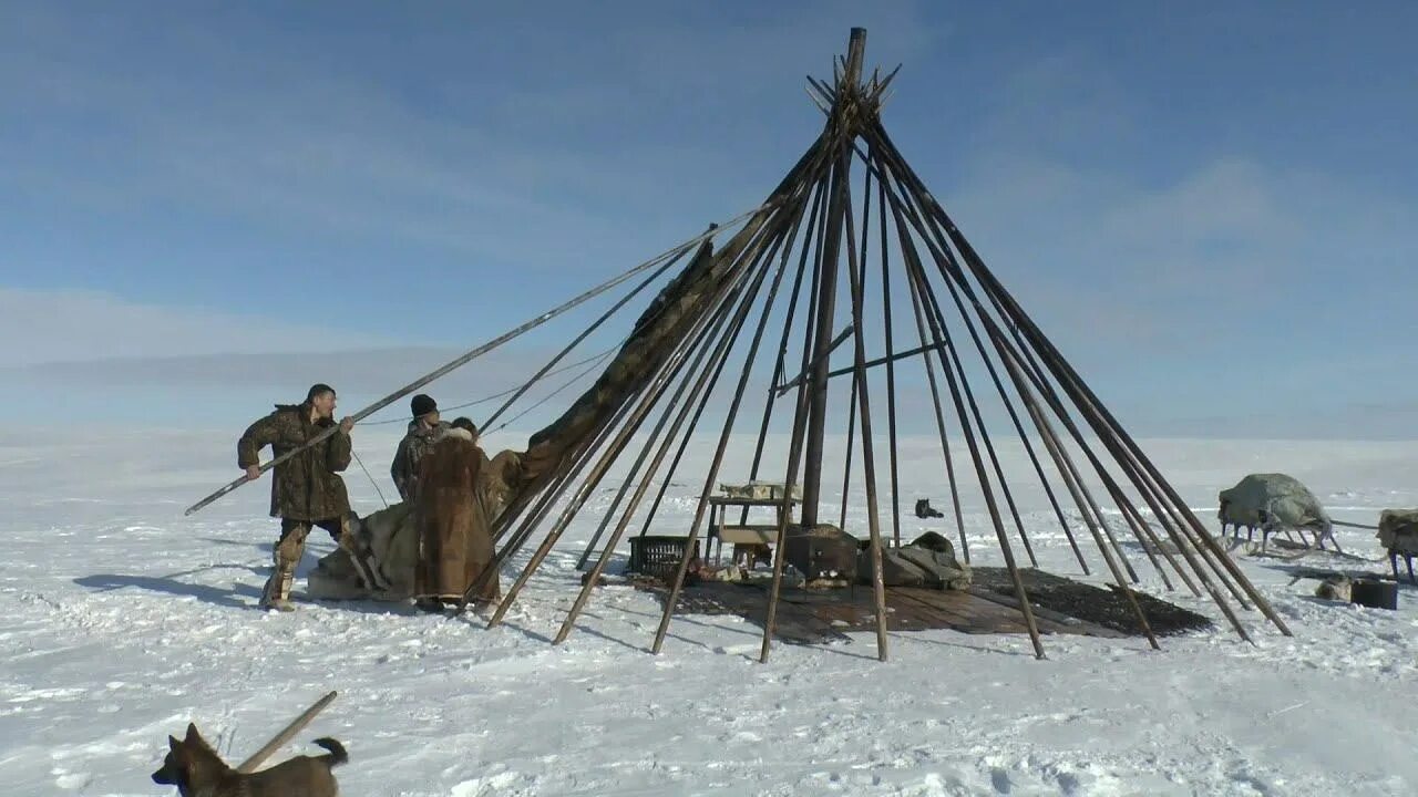 Жилище народов крайнего севера. Чум яранга юрта. Яранга жилище народов севера. Жилище Коряков яранга. Жилище ненцев чум.