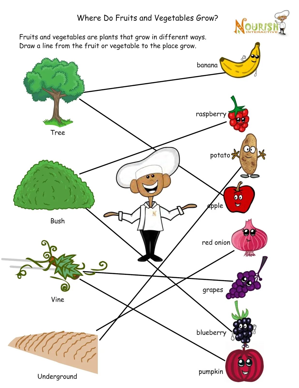 Where do the Fruits and Vegetables grow Worksheets. Where does it grow Worksheet. Where do Fruits and Vegetables grow. Where Fruit and Vegetable grow. They like vegetables