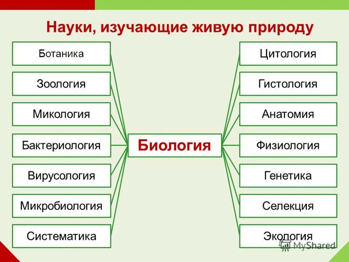 Биологические науки 5 класс биология ответы. Биология система наук о живой природе. Науки которые изучает биология. Вид современной биологии. Биологические дисциплины.