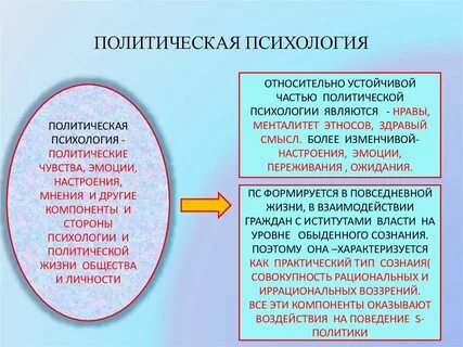 Политическое чувство