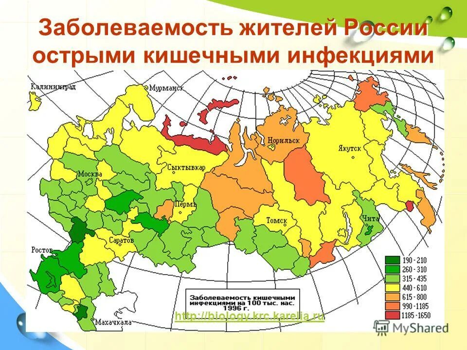 Заболеваемость кишечными инфекциями. Заболеваемость на 100 тыс населения. Заболеваемость острыми кишечными инфекциями. Заболеваемость острыми кишечными инфекциями. Заболеваемость острыми кишечными инфекциями.