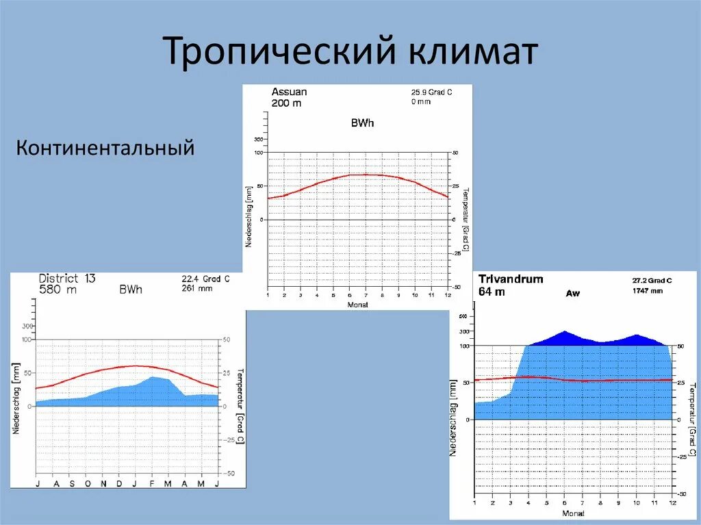 Подтипы тропического климата. Тропический климат температура. Тропический климат характеристика. Тропический климат осадки.