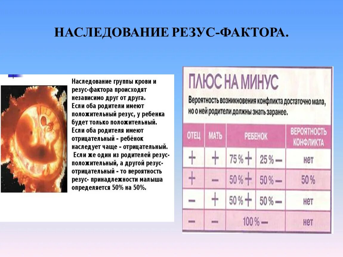 Группы крови и резус-фактор таблица. Наследование групп крови и резус фактора у человека. Наследование резус фактора родителей таблица. Резус антиген наследуется по типу. Анти резус