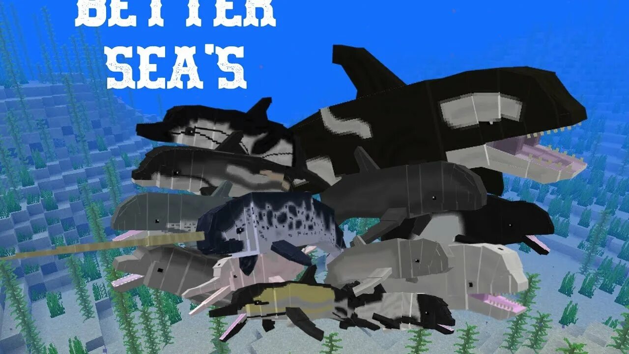 The better seas. The better seas