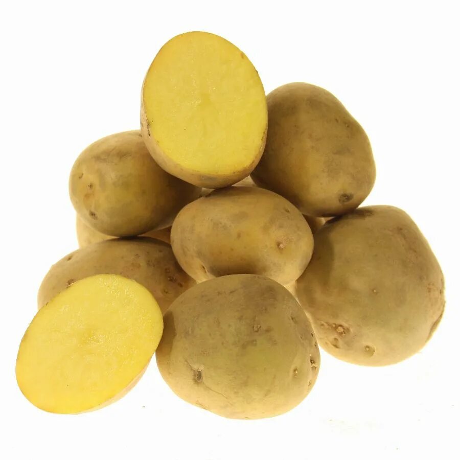 Сорокодневка сорт картофеля. Семенной ранний картофель сорт сорокодневка. Сорт картофеля Мирабель.