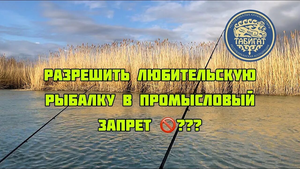 Запрет на рыбалку в 2025. Запрет на рыбалку в 2025