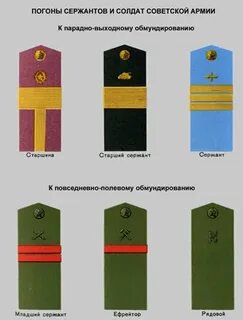 Погоны на офисную форму