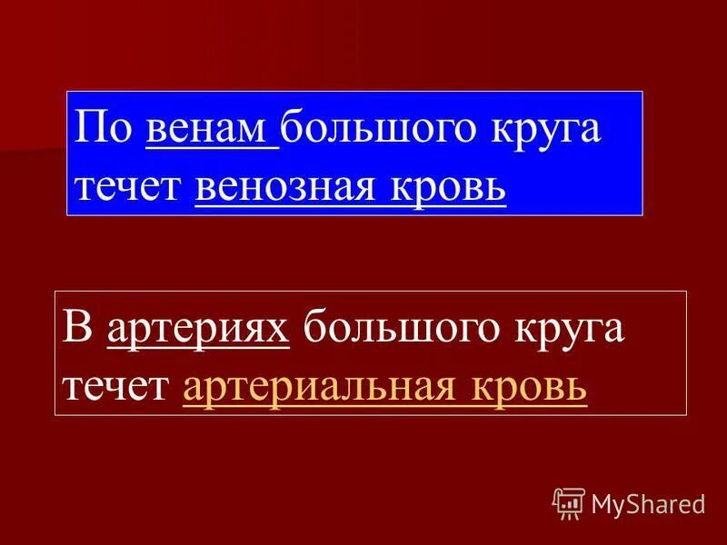 по венам малого круга кровообращения у человека течет кровь. в артериях большого круга течет артериальная. в артериях большого круга течет артериальная. большой и малый круг кровообращения артерии и вены. в артериях большого круга течет артериальная.