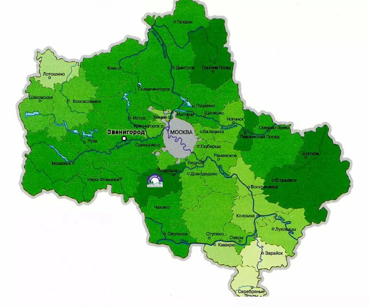 Леса Московской области карта. Карта лесов Московской области. Карта сосновых лесов Московской области. Карта лесов Подмосковья подробная. Глубина воды в московской области