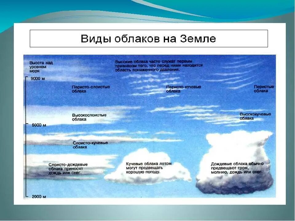 Как образуются облака 6 класс. Виды облаков. Виды облаков схема. Виды облаков и их характеристика. Типы облаков и их высота.