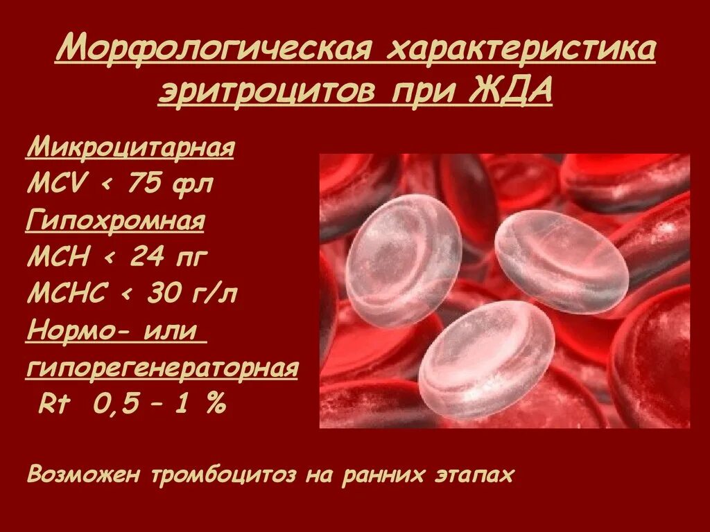 Эритроцитов mch. Гипохромные микроцитарные анемии. внешний вид эритроцитов при железодефицитной анемии. эритроциты при гипохромной анемии. железодефицитная анемия микроцитарная.