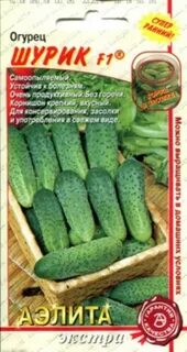 Огурец для засолки самоопыляемые