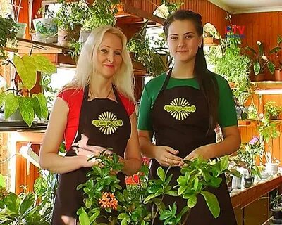 Супер сад