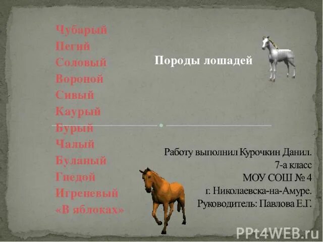 Прилагательное от слова конь. Прилагательные к слову конь. Клички лошадей. Лошади прилагательные.