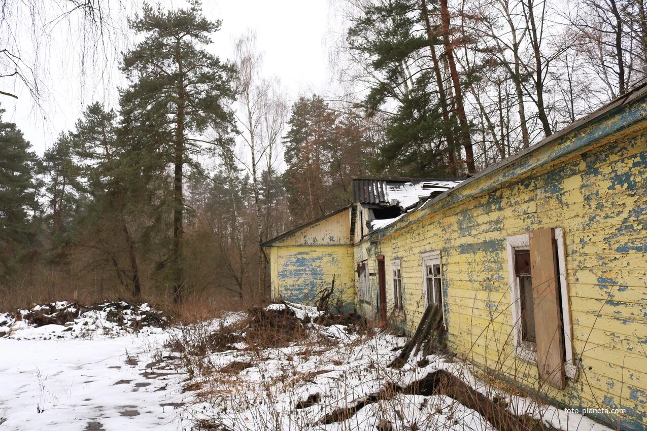 Пионерский лагерь Ласточка Иркутск. Пионерский лагерь Ласточка Московская область Ступинский район. Лагерь Ласточка Касимовский район. Касимовский район детский лагерь "Ласточка. Дол ласточка