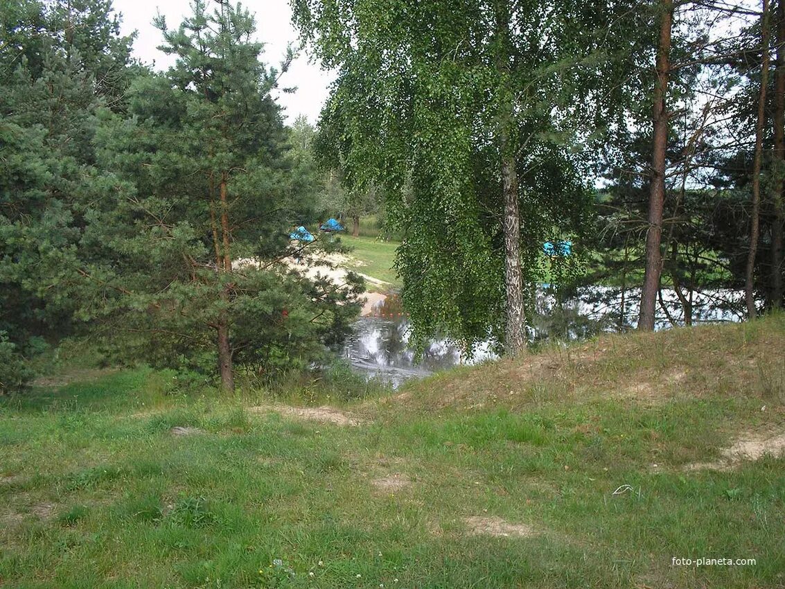 Общага в петрикове. Деревня никитино свердловская область. Погода в копаткевичах петриковского. Деревня кошевичи. П.