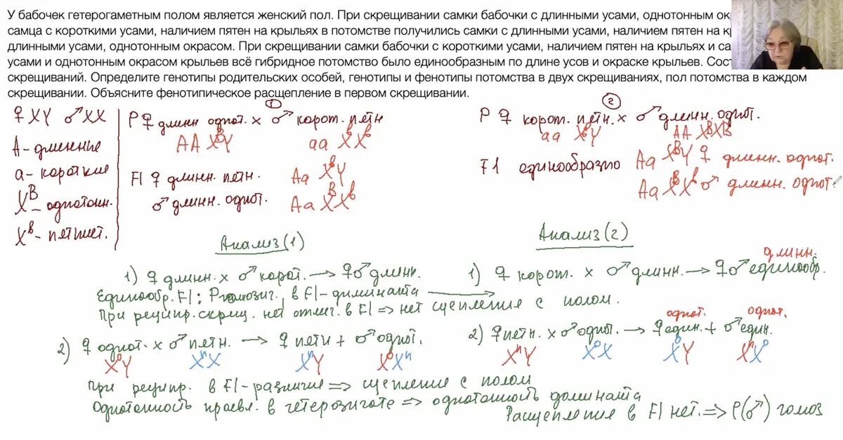 Появление в потомстве альбиноса. Сложные задачи по генетике ЕГЭ. Оформление генетических задач в ЕГЭ. Задачи ЕГЭ по биологии генетика. Задачи по генетике ЕГЭ биология.