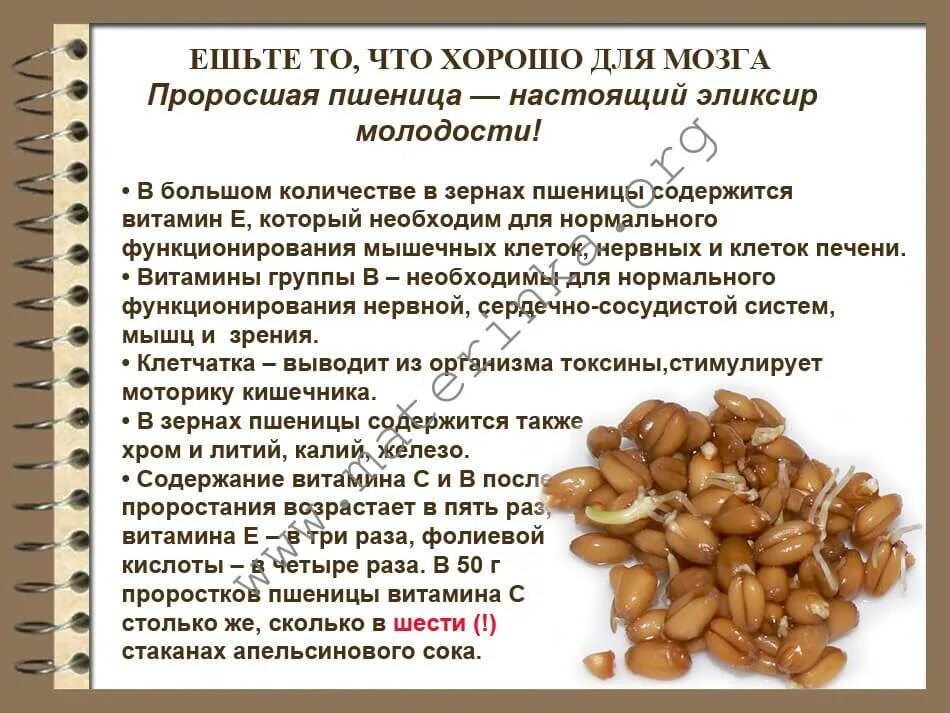 Самые полезные крупы для здоровья. Чем полезны зерна. Ячневая крупа. Химический состав зерна. Чем полезны зерна.