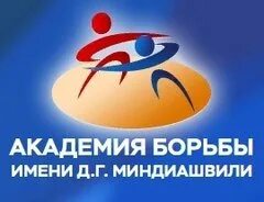 Г. Миндиашвили красноярск. Зал д г миндиашвили. Академии борьбы им. Г миндиашвили.
