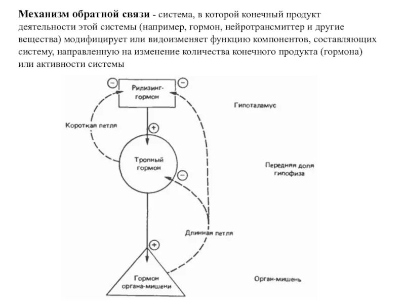 Механизм обратной связи в гормональной регуляции. Схема механизма обратной связи гормонов. Принцип обратной связи физиология гормоны. Принцип обратных связей эндокринной системы схема. Пункты которые описывают обратную связь